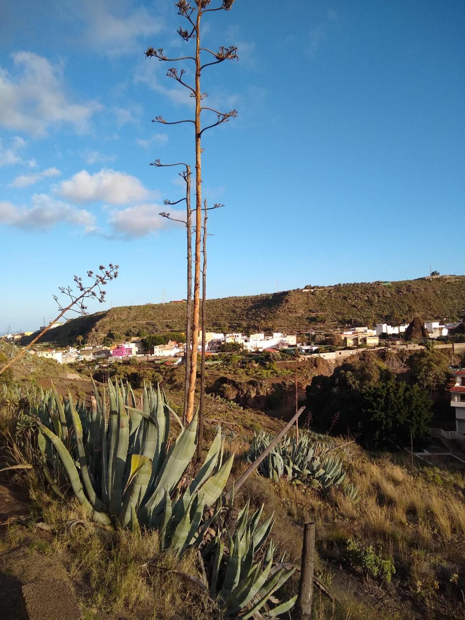 Carmencita Y Manolito Villa Telde Kültér fotó
