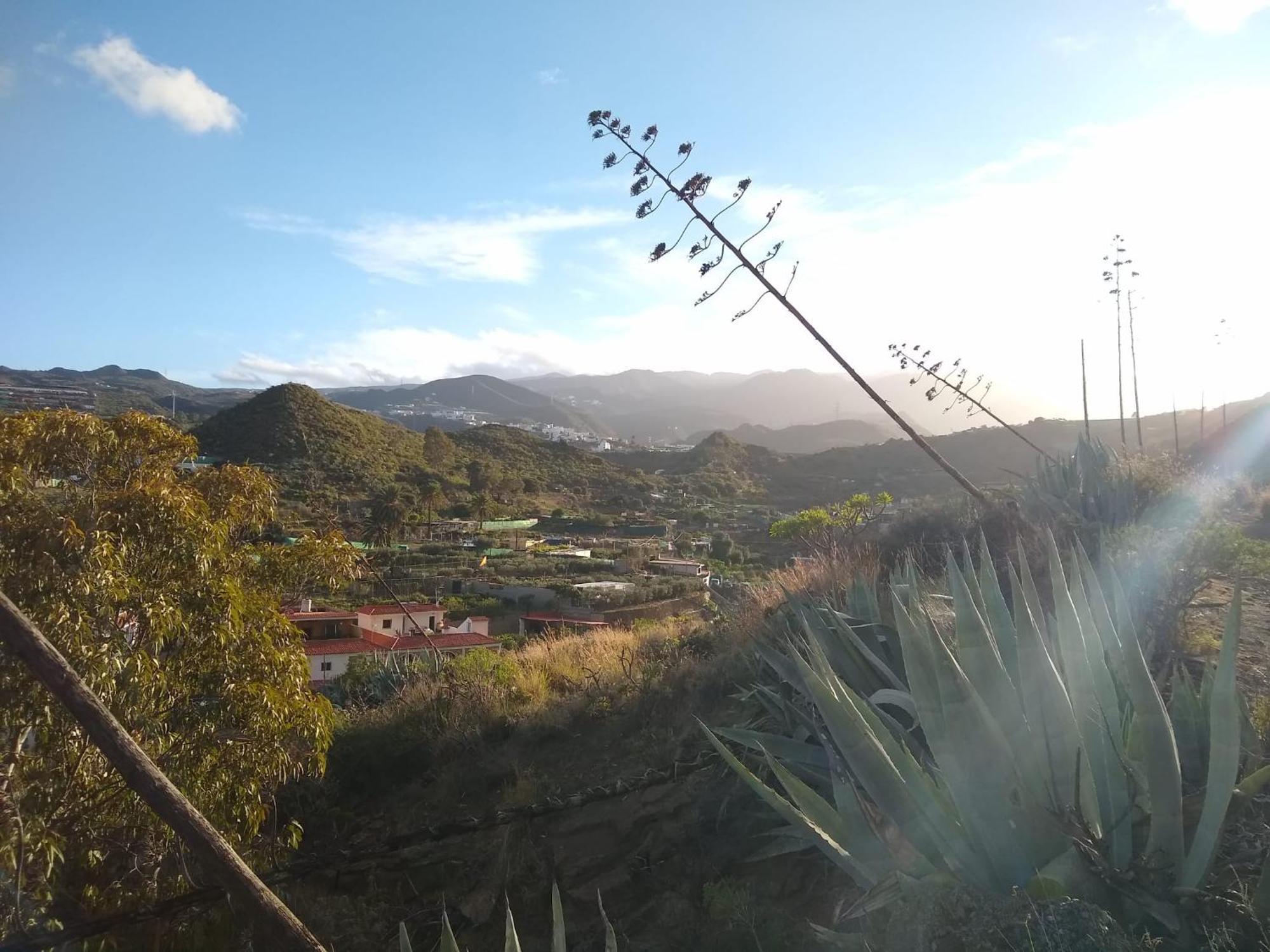 Carmencita Y Manolito Villa Telde Kültér fotó